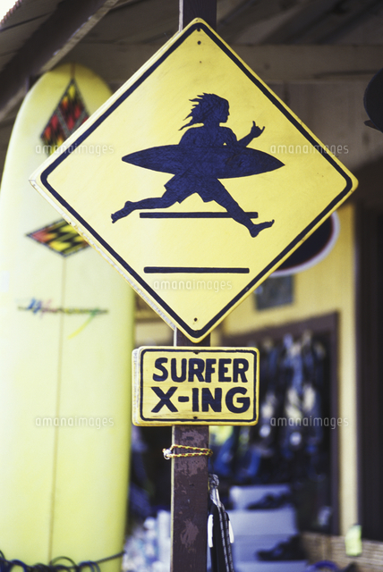 Surfer X-ing sign at surf shop[11118081833]の写真・イラスト素材