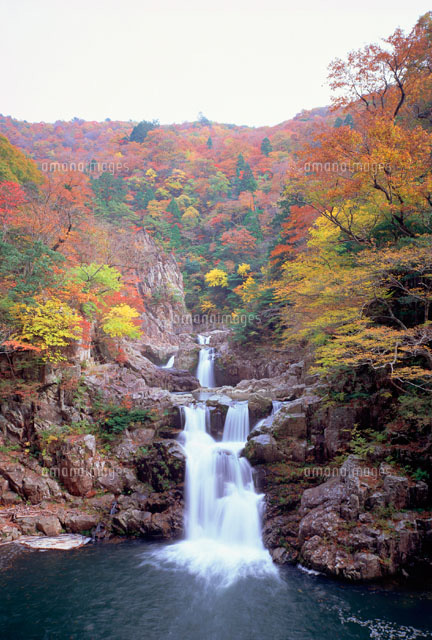 紅葉の三段峡 広島県 の写真素材 イラスト素材 アマナイメージズ