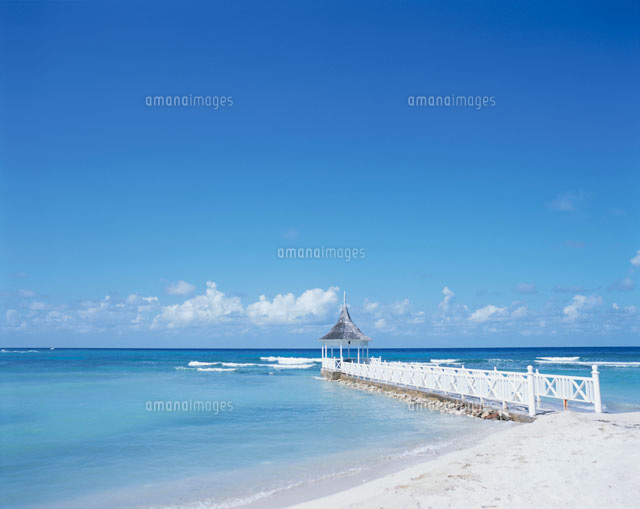 【浜島書店】2015 じゃれマガ 浜島書店】2015 じゃれマガ 本