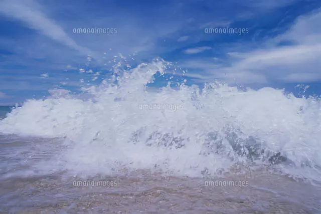 波打ち際の貝[20007002933]の写真・イラスト素材｜アマナイメージズ