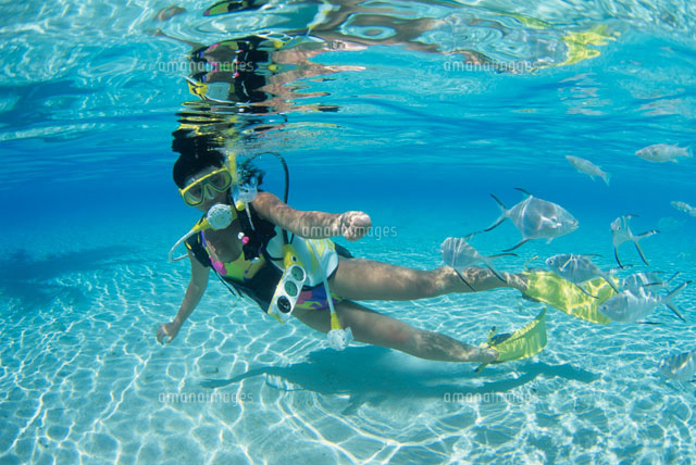 女性ダイバー モルディブ の写真素材 イラスト素材 アマナイメージズ