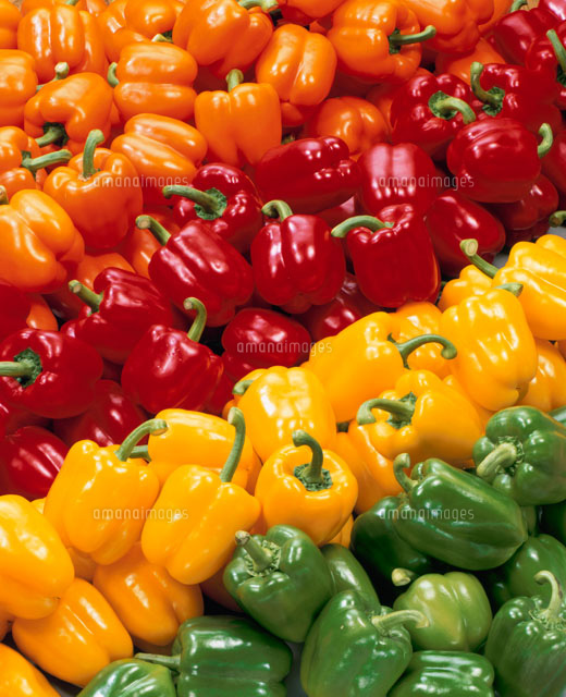 カラーピーマン の写真素材 イラスト素材 アマナイメージズ