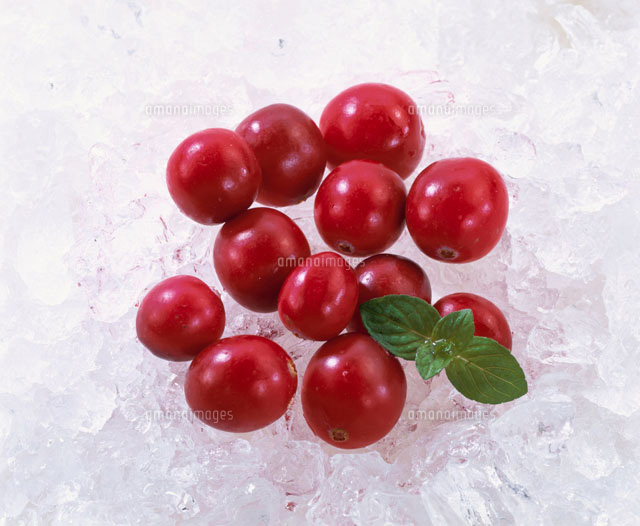 クランベリー の写真素材 イラスト素材 アマナイメージズ