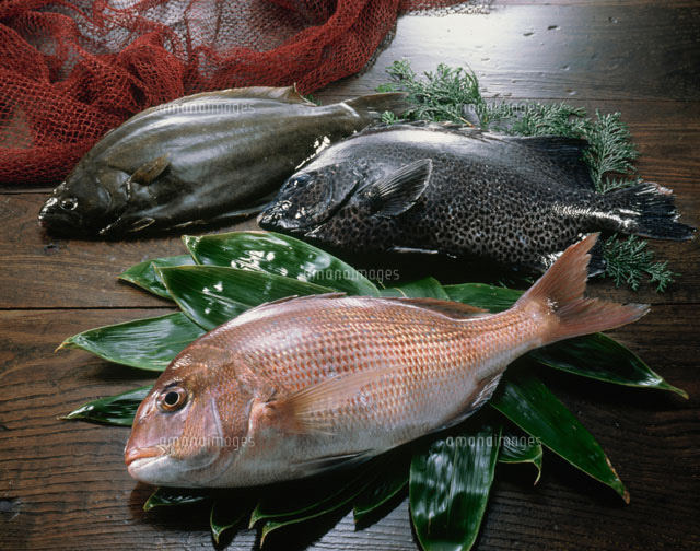 真鯛 石垣鯛とひらめ の写真素材 イラスト素材 アマナイメージズ