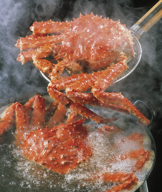 たらばがに の写真素材 イラスト素材 アマナイメージズ