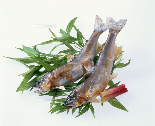 鮎の塩焼き の写真素材 イラスト素材 アマナイメージズ