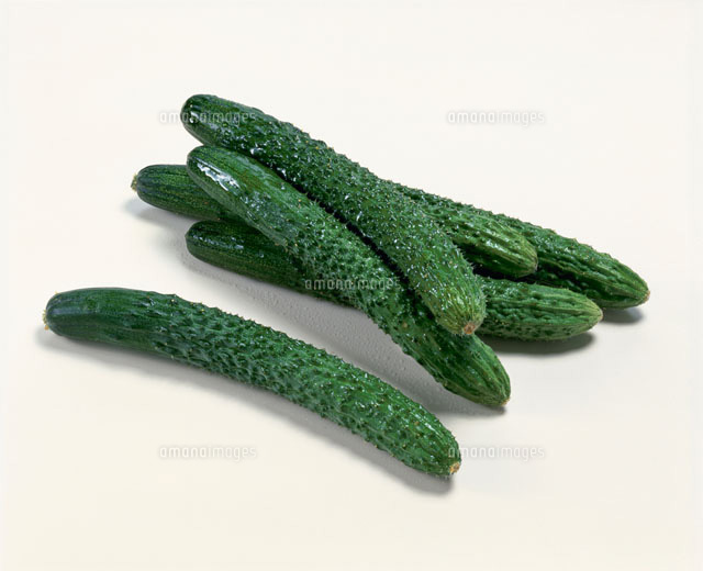 四葉きゅうり の写真素材 イラスト素材 アマナイメージズ