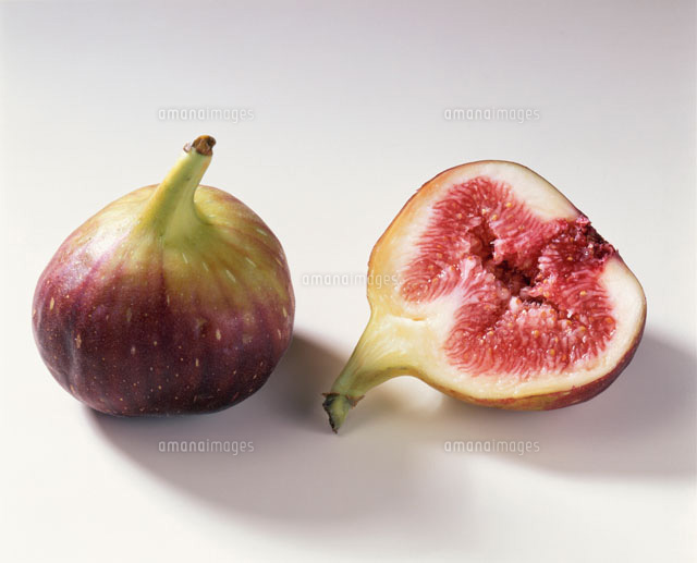 いちじく の写真素材 イラスト素材 アマナイメージズ