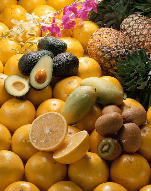 トロピカルフルーツ集合 の写真素材 イラスト素材 アマナイメージズ
