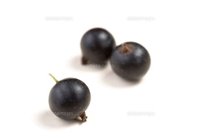 カシス の写真素材 イラスト素材 アマナイメージズ