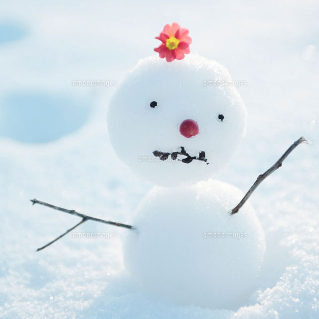 雪だるまになります。 頭に花を乗せた雪だるま[20027002726]の写真・イラスト素材