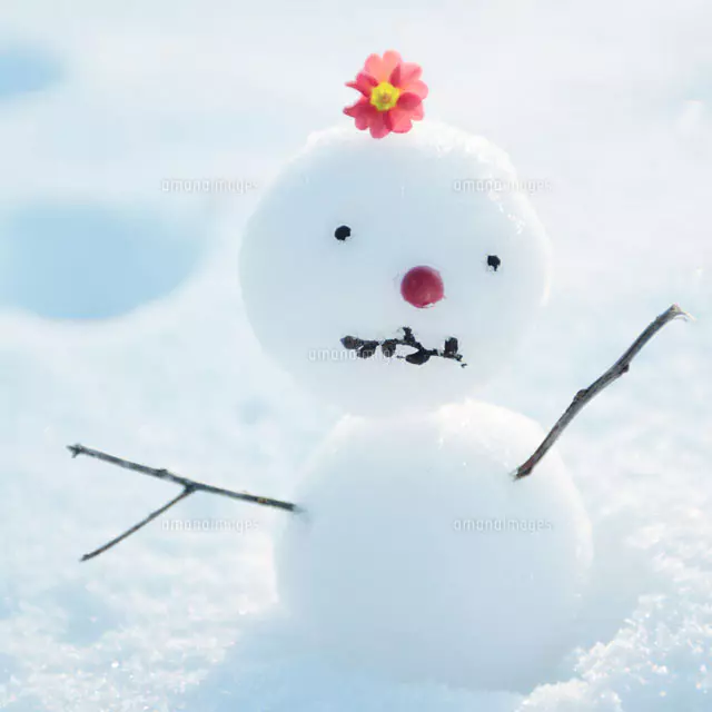 雪だるまになります。 頭に花を乗せた雪だるま[20027002727]の写真・イラスト素材