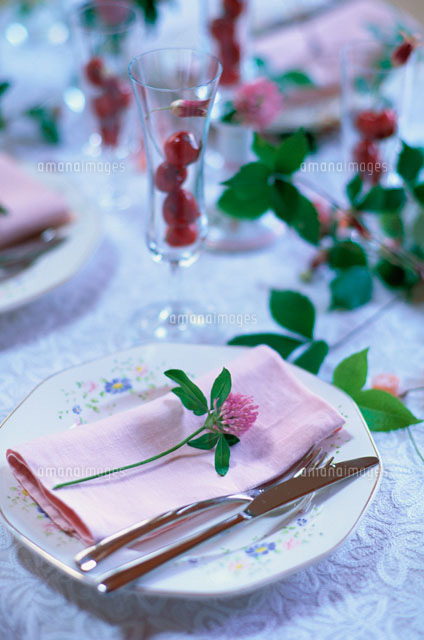 テーブルセッティング の写真素材 イラスト素材 アマナイメージズ