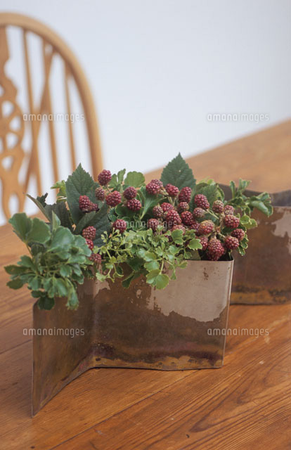 テーブルの上のラズベリー の写真素材 イラスト素材 アマナイメージズ