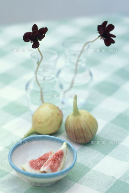 チョコレートコスモス いちじく いちじくの切り実 の写真素材 イラスト素材 アマナイメージズ