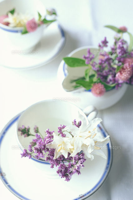 白カップ ソーサーに生けたスターチス等 の写真素材 イラスト素材 アマナイメージズ