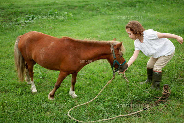 馬に草をやる女の子 a の写真素材 イラスト素材 アマナイメージズ