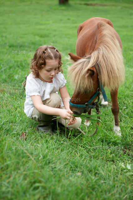 馬に草をやる女の子 a の写真素材 イラスト素材 アマナイメージズ