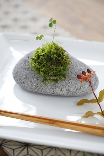 皿の上のヒペリカムと苔玉と石と箸[21090001111]の写真 