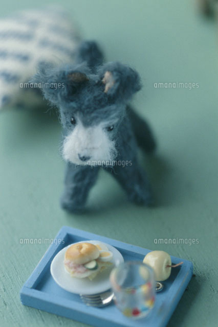 食べ物と犬のぬいぐるみ の写真素材 イラスト素材 アマナイメージズ 食べ物と犬のぬいぐるみ の写真素材 イラスト素材 アマナイメージズ