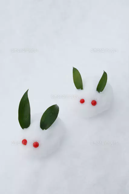 雪で作った雪うさぎ[22276006079]の写真・イラスト素材｜アマナイメージズ