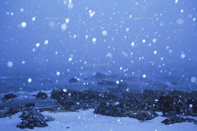 雪の降る朝の赤 雪の降る朝の赤