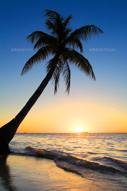 ヤシの木とマニャガハ島と夕日 の写真素材 イラスト素材 アマナイメージズ