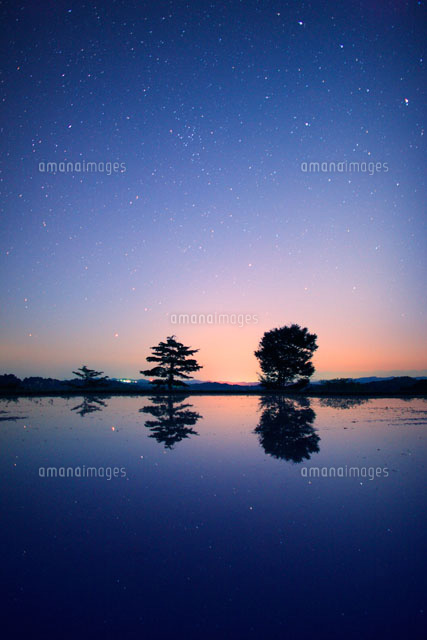 水面に星空！ 大野市の笹生川ダム湖で星を見てきました 星結いの森 