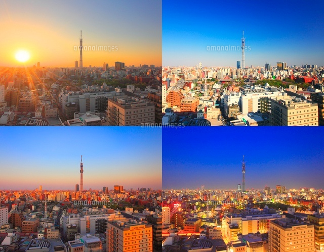 東京スカイツリーと浅草の街並の朝昼夕夜景,定点撮影[22320033159]の