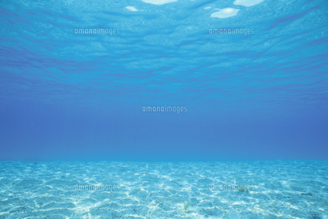 水中から見た浅瀬のきらめく砂地と水面 の写真素材 イラスト素材 アマナイメージズ