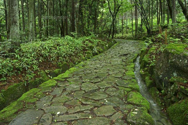 落合の石畳 中山道 十曲峠 つづらおれとうげ の写真素材 イラスト素材 アマナイメージズ