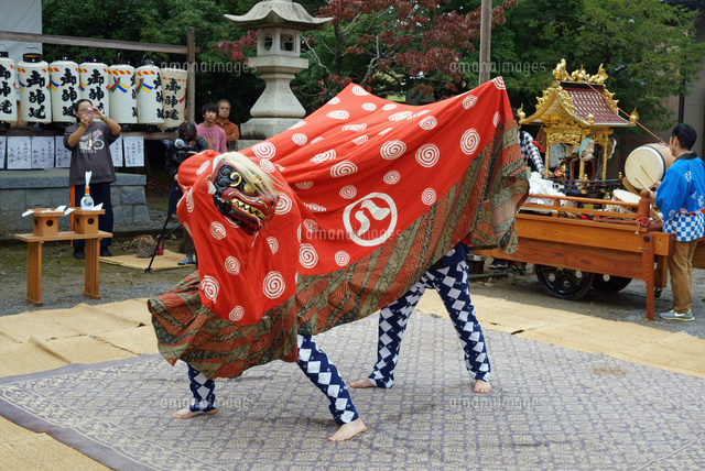 平方勢獅子（ひらかたきおいじし）幣の舞,八幡神社,毎年10月第2日曜日