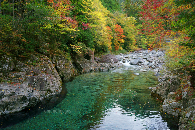 紅葉の阿寺渓谷 の写真素材 イラスト素材 アマナイメージズ