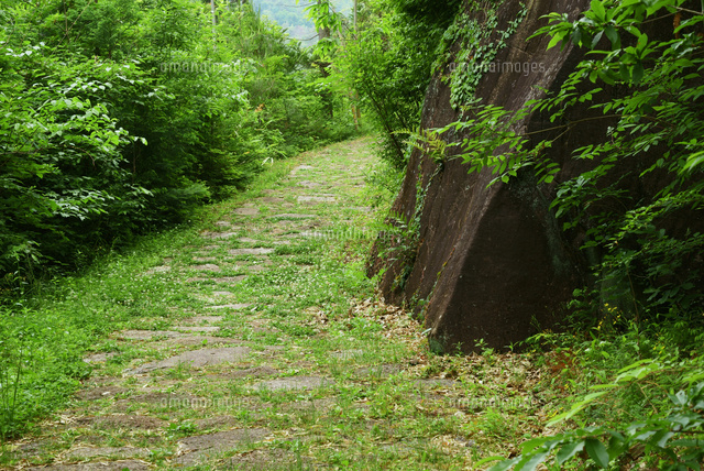 落合の石畳 中山道 十曲峠 つづらおれとうげ 落合石畳遊歩道 の写真素材 イラスト素材 アマナイメージズ