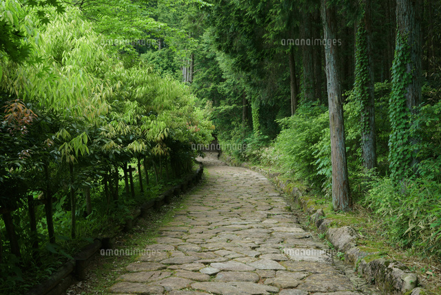 落合の石畳 中山道・十曲峠(つづらおれとうげ) 落合石畳遊歩道[22366004520]の写真素材・イラスト素材｜アマナイメージズ