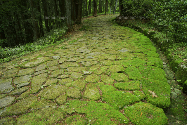 落合の石畳 中山道 十曲峠 つづらおれとうげ 落合石畳遊歩道 の写真素材 イラスト素材 アマナイメージズ