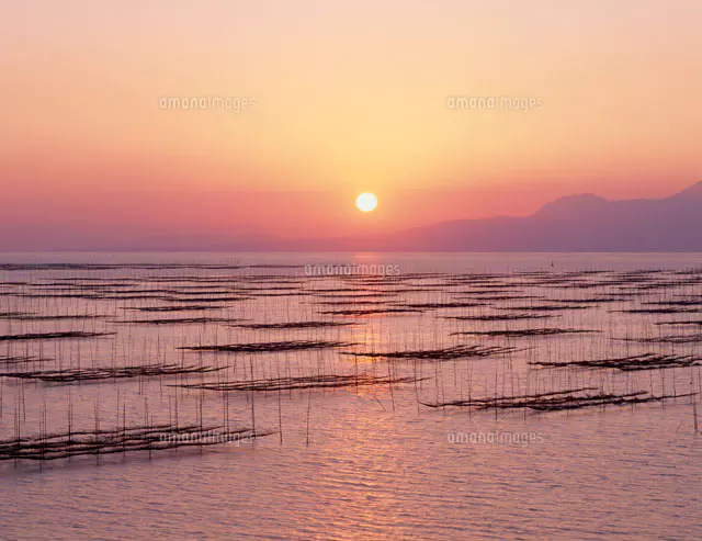 有明海のりひびと夕日[22368000119]の写真・イラスト素材｜アマナ