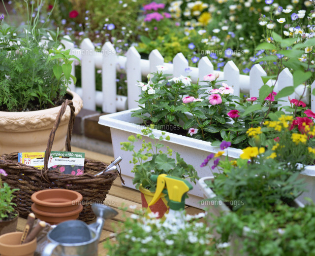 ガーデニングイメージ の写真素材 イラスト素材 アマナイメージズ