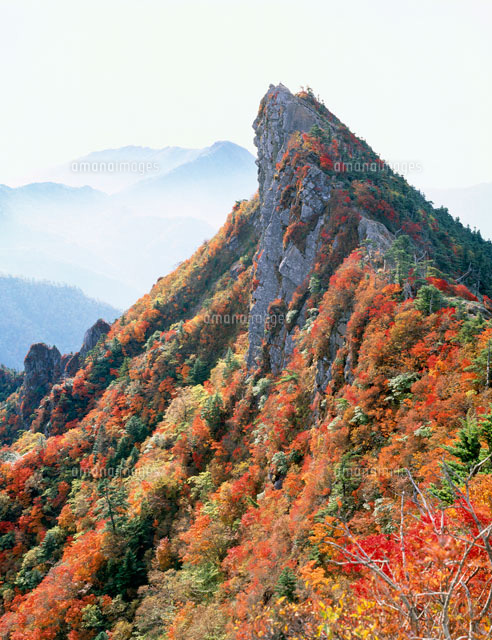 石鎚山 天狗岳の紅葉 の写真素材 イラスト素材 アマナイメージズ