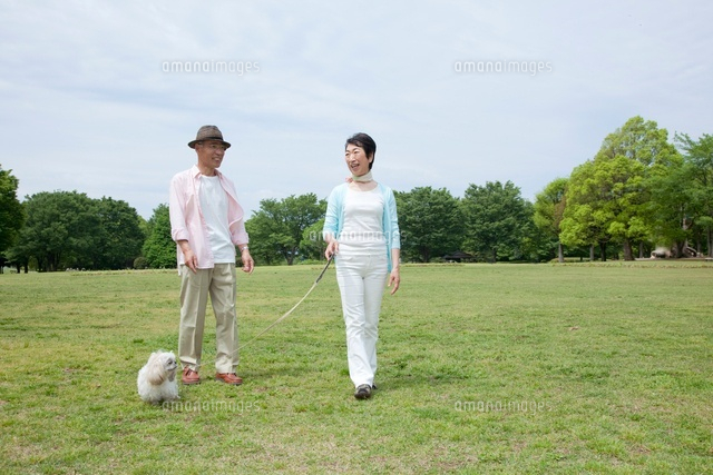 公園で犬と散歩するシニア夫婦 の写真素材 イラスト素材 アマナイメージズ