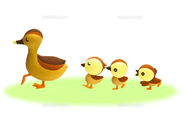 カルガモの親子[22748001134]の写真・イラスト素材｜アマナイメージズ