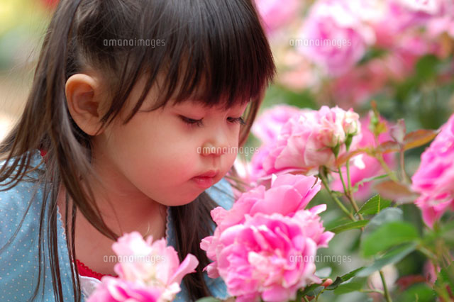 バラの花の匂いを嗅ぐ女の子 の写真素材 イラスト素材 アマナイメージズ バラの花の匂いを嗅ぐ女の子 の写真素材 イラスト素材 アマナイメージズ