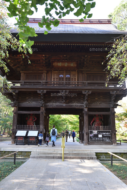 九品仏 浄真寺の山門[22751001255]の写真・イラスト素材｜アマナイメージズ