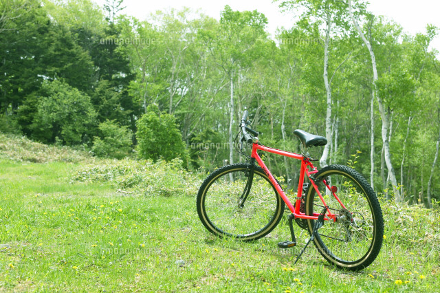 野原の赤いマウンテンバイク の写真素材 イラスト素材 アマナイメージズ 野原の赤いマウンテンバイク の写真素材 イラスト素材 アマナイメージズ