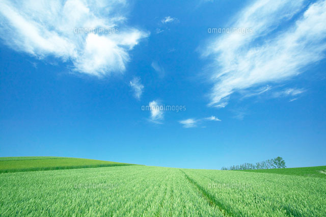 田園風景 の写真素材 イラスト素材 アマナイメージズ