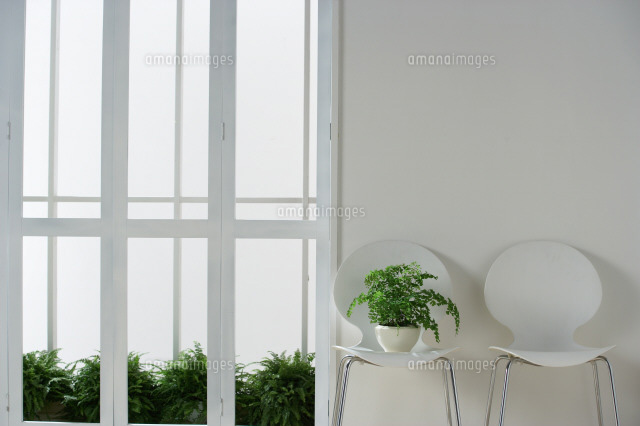 イスの上の観葉植物 の写真素材 イラスト素材 アマナイメージズ