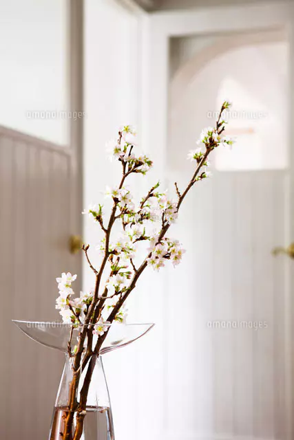 花瓶に活けられた白い花[24029000197]の写真・イラスト素材｜アマナ