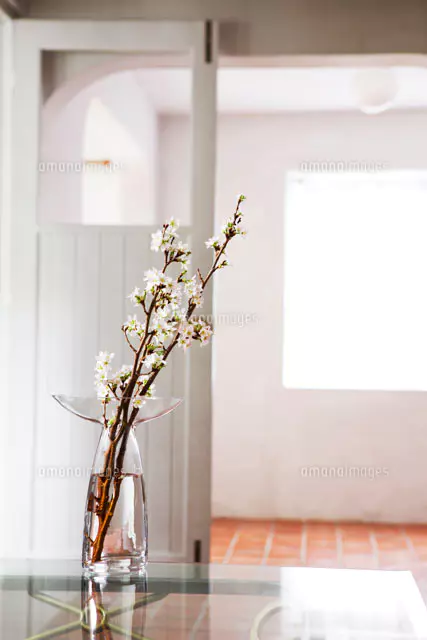 花瓶に活けられた白い花[24029000197]の写真・イラスト素材｜アマナ