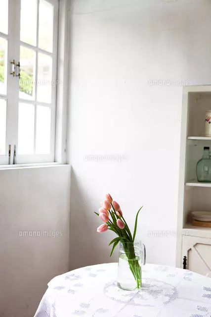 花瓶に活けられた白い花[24029000197]の写真・イラスト素材｜アマナ