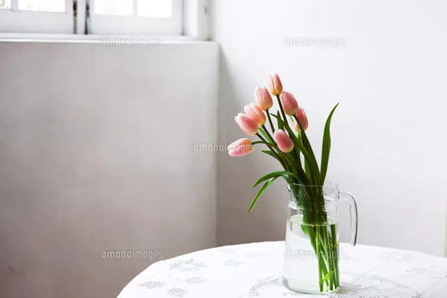 花瓶に活けられた白い花[24029000197]の写真・イラスト素材｜アマナ